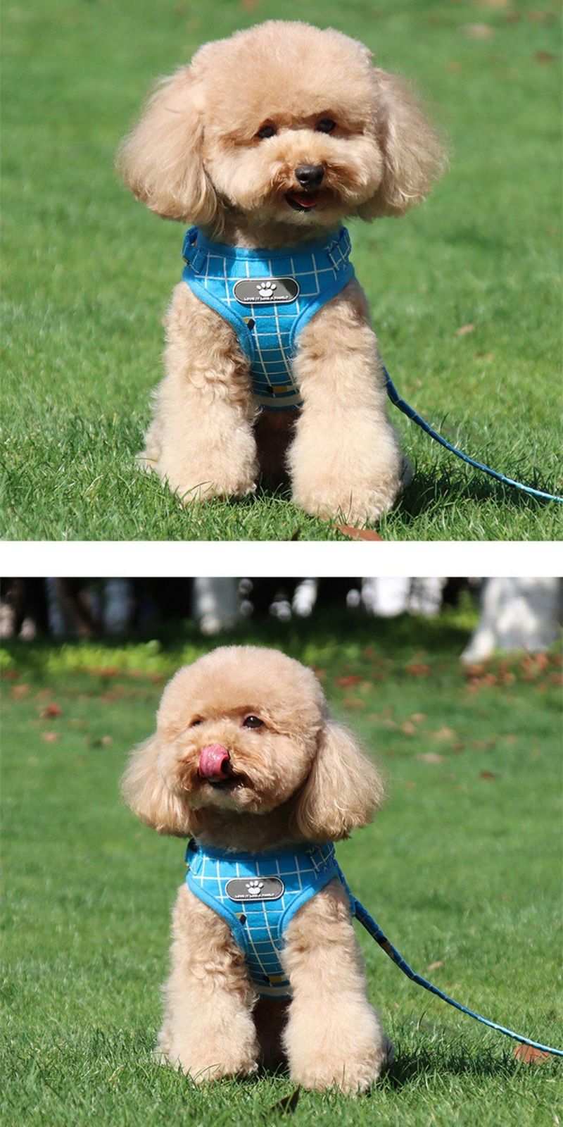 Pure Plaid Breathable Pet Harness Dog Vest