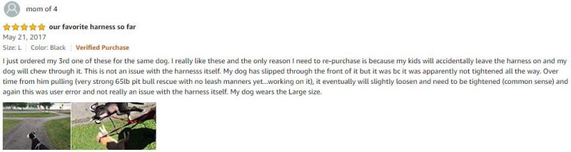 Dual Security Highly Reflective Big Dog Vest Harness