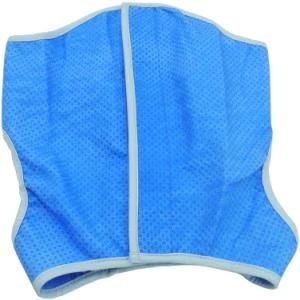 Non-Toxic Recyclable Dog Clothes
