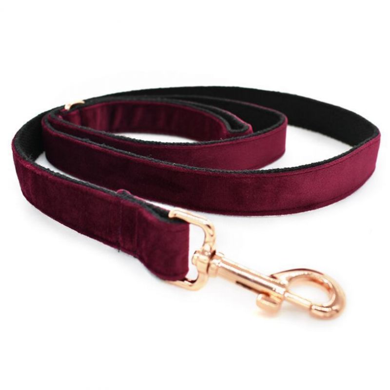Classic Dog Collar Soft Comfortable Adjustable Collars