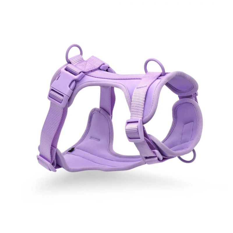 2020 Latest Design Pet Accessories Adjustable Lovely Dog Pet Harness with Matching Collar Leash Custom Available