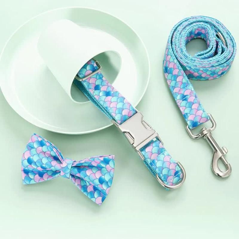 Wholesale Free Design Dog Products Metal Buckle Neoprene Dog Collar Designer