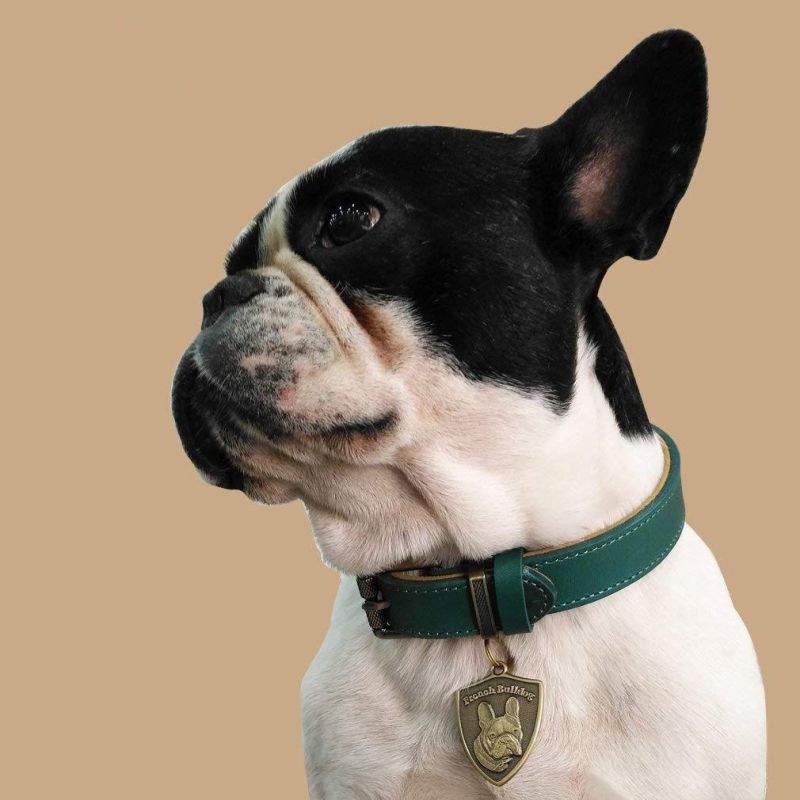 Full-Grain Leather Padded Dog Collar with The High-Quality