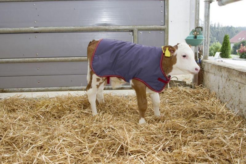 Calf Jackets Waterproof Breathable Warming