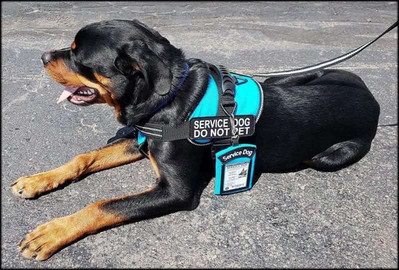 Service Dog ID Identification Carrier & Zippered Pouch - Carry Many Small Items & Easily Display Your Dogs Identification