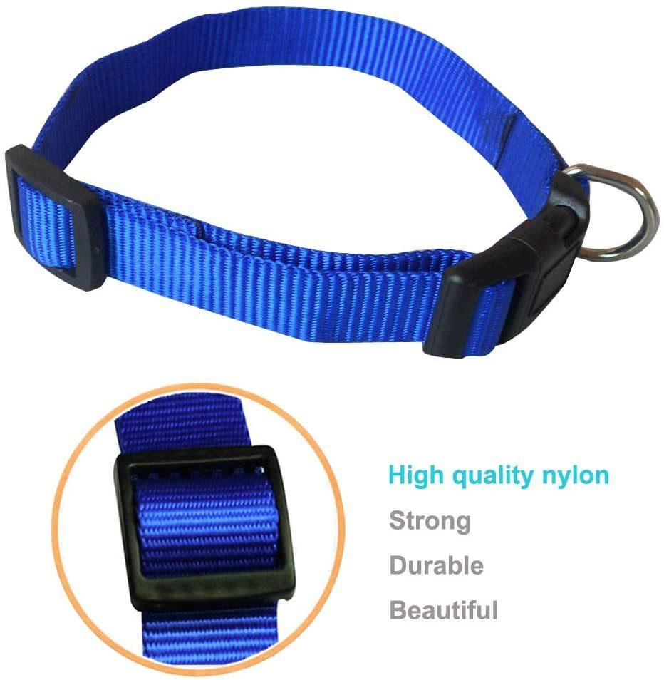 Adjustable Nylon Dog Collar with Classic Solid Colors