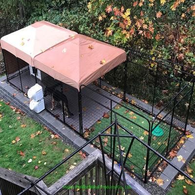 Customized Large Dog Kennel with Room to Play Dog House