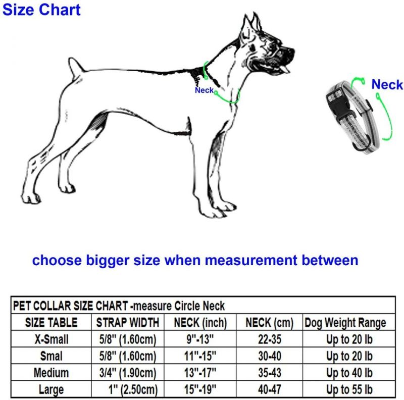 Nylon Webbing Pet Strap Light Weight Reflective Dog Collar