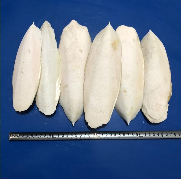 Hai Piao Xiao Chinese Herb Dried Cuttlefish Bone Parrot Food
