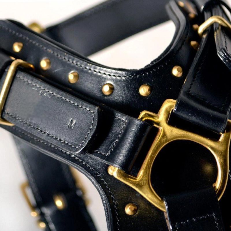 Luxury High Duty Leather Chest Pet Dog Harness Vest Adjustable Black Brass Faux