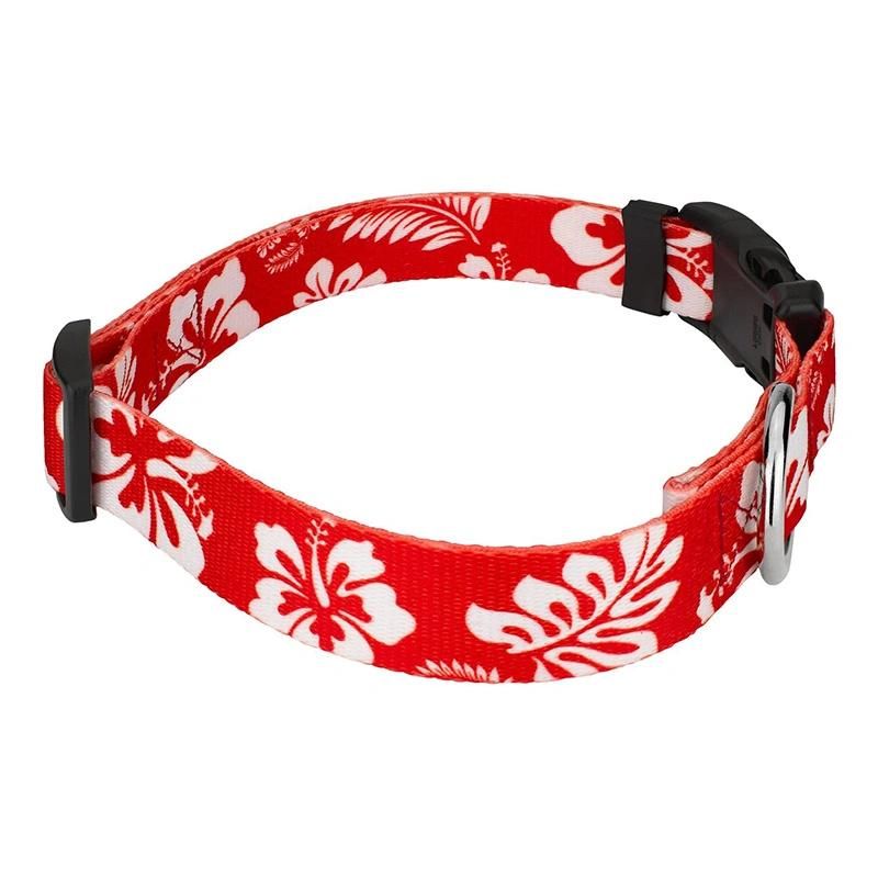 Hot Sale Custom Logo Personalized Durable Buckle Dog Collar