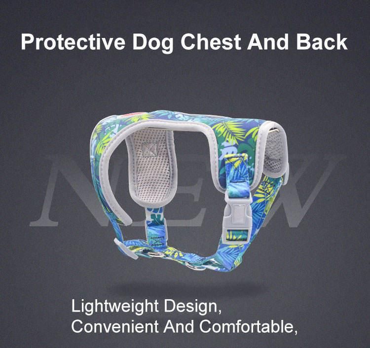 2022 Bright Printed Fabric Chest Padded Dog Harness