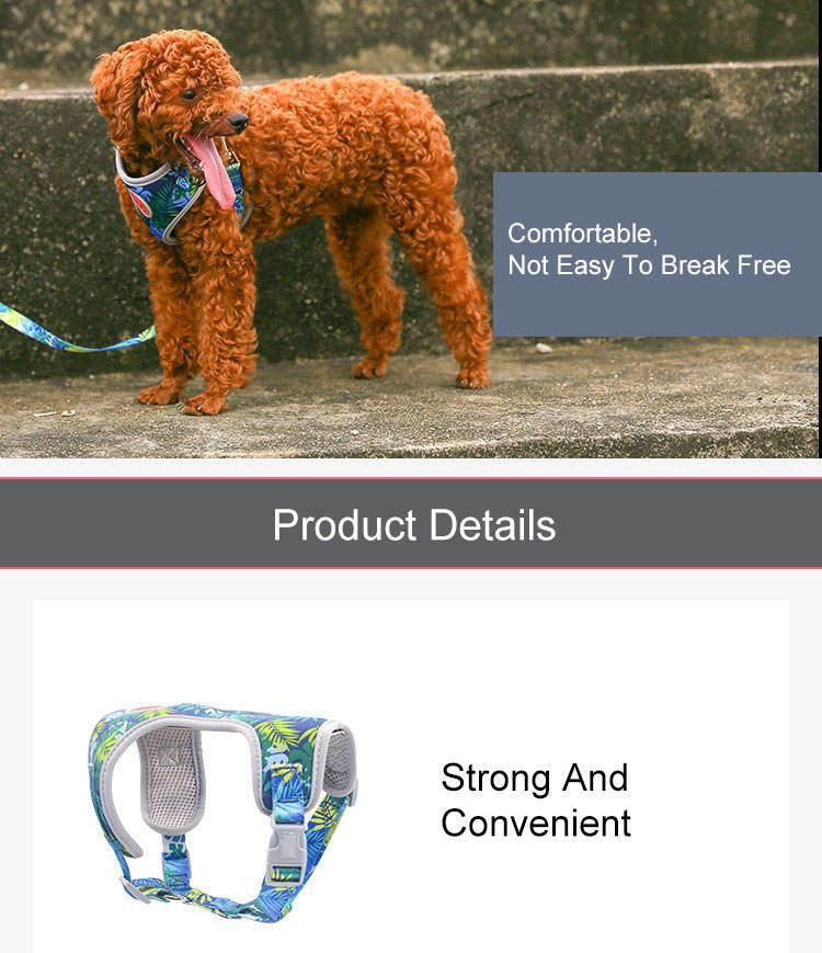 2022 Bright Printed Fabric Chest Padded Dog Harness