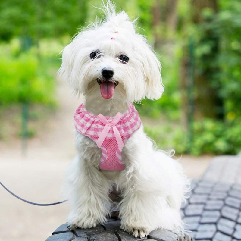 Fashion Puppy Harness for Pets Dog & Cat