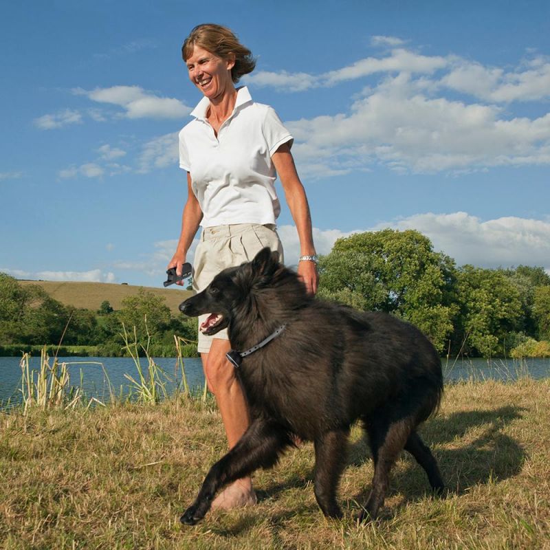 Amazon Top Seller Best Waterproofe Electronic Remote Electric Pet Dog Training Collars