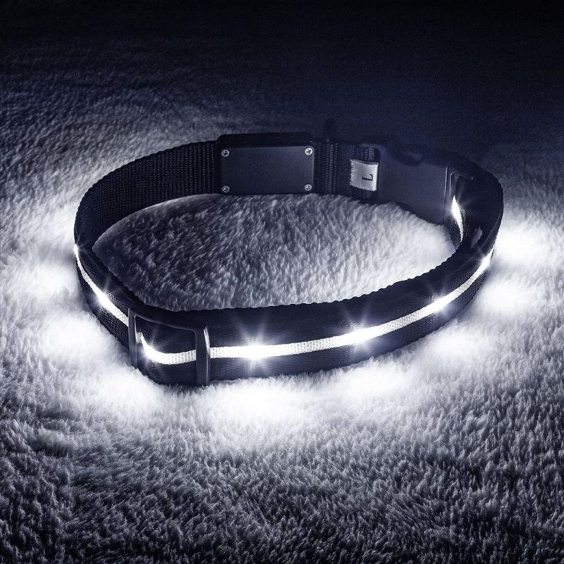 LED Dog Collar-USB Rechargeable with Water Resistant Flashing Light-Xs/S/M/L Size Black
