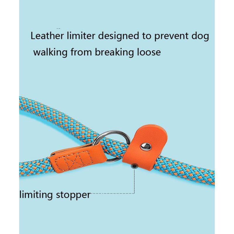 2022 Custom Strong Rope Dog Leash Durable Climbing Slip Handle Pet Rope Dog Leash Nylon Pet Lead for Dog