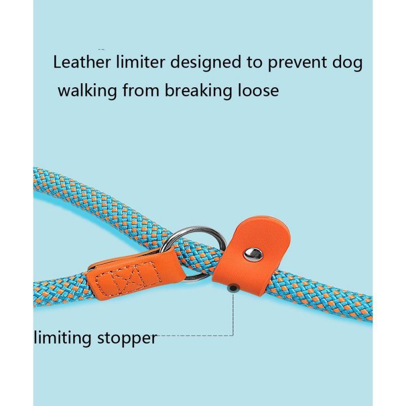 2022 Custom Strong Rope Dog Leash Durable Climbing Slip Handle Pet Rope Dog Leash Nylon Pet Lead for Dog
