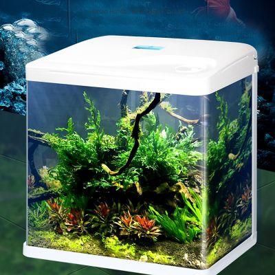 Wholesale Mini Fashionable Fish Home with Rounded Corners Small Fish Tank Aquarium