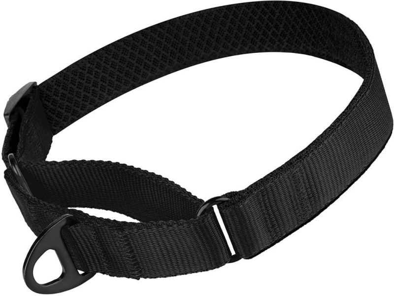 Soft Padded Durable Training Pet Collars with Multiple Colors