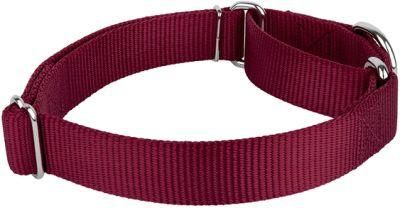 Nylon Personalized Dog Collars Training Pet Collars