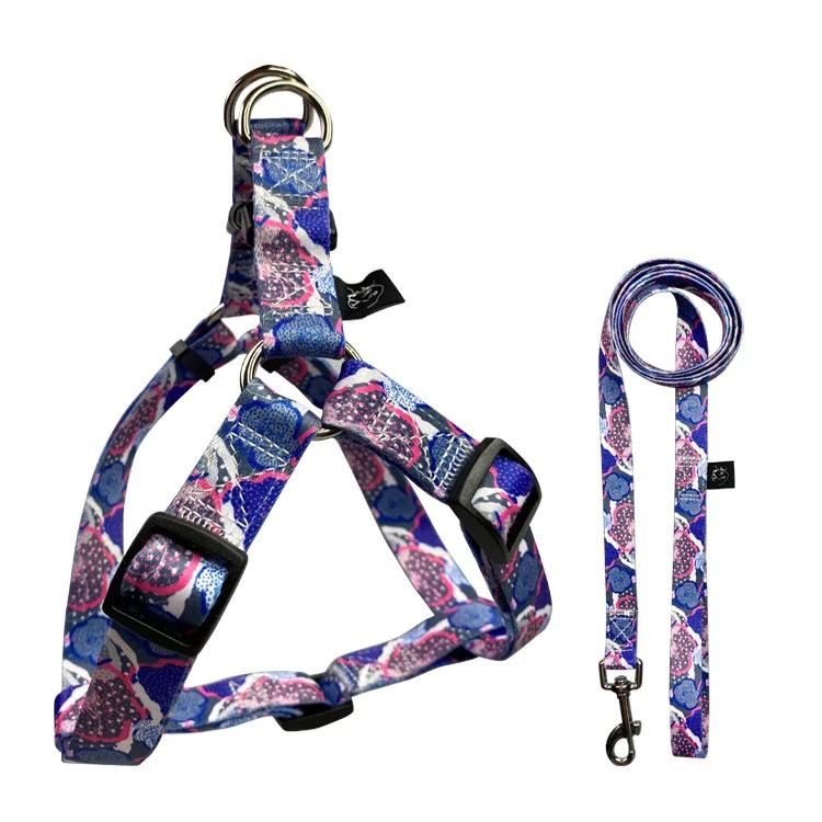 Pet Harness and Leashes Outside Dog Collar Straps Pet Vest Suit Cover Set