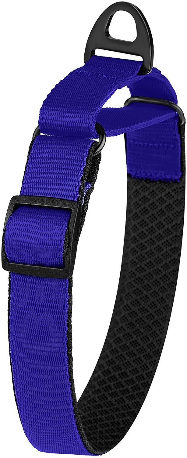 Soft Padded Comfortable Nylon Martingale Dog Collar