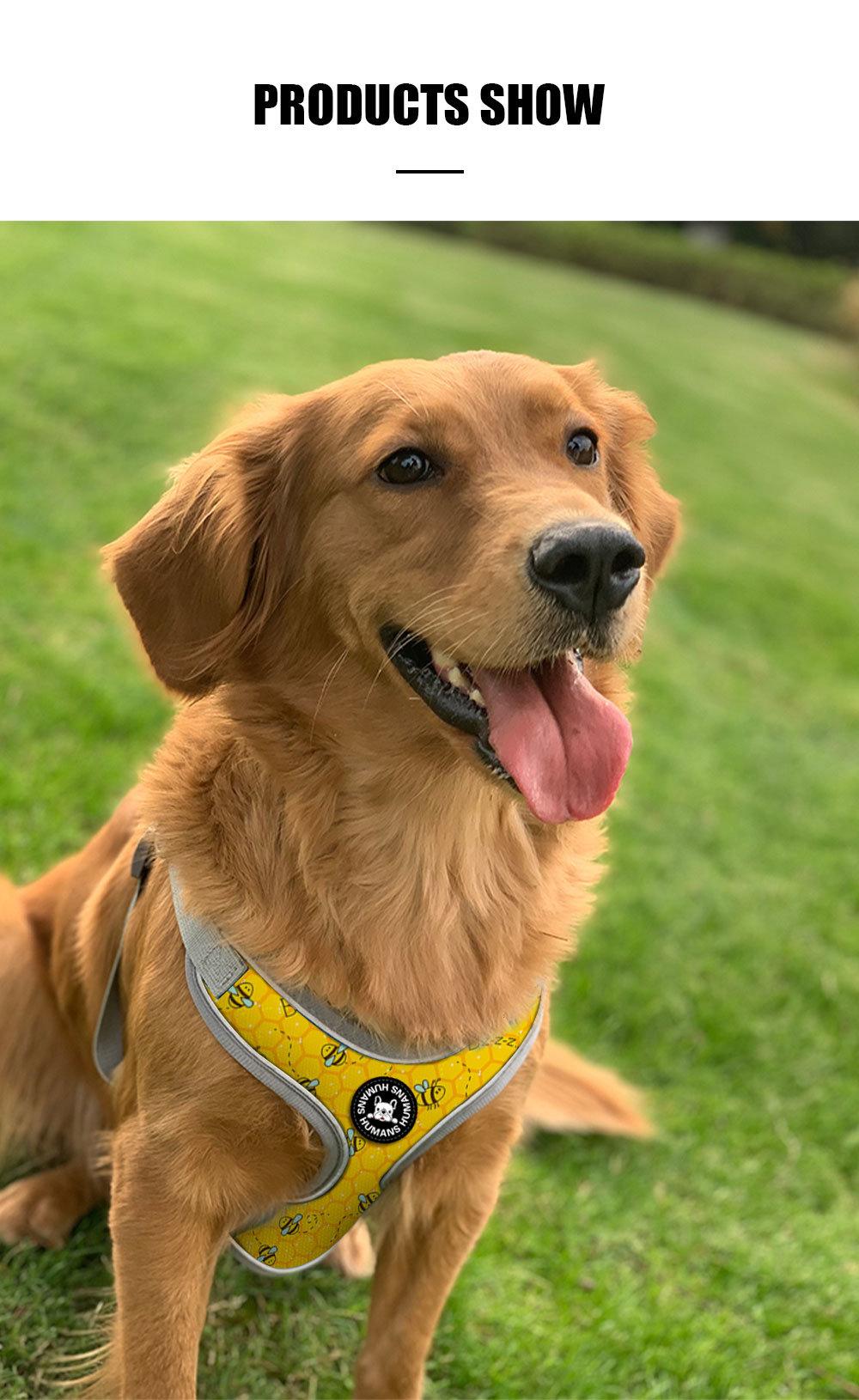 Hot Selling Cute Reversible Dog Harness Walking Halter New Custom Logo Printed Sport Dog Harness Set with Pet Collar Leash/Pet Accessories/Pet Supply/Pet Produc