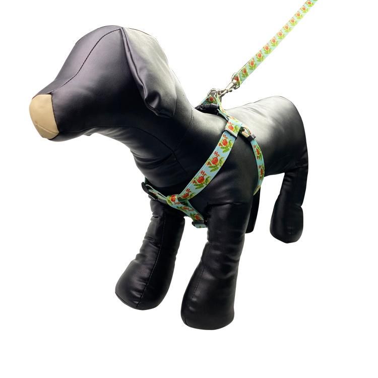 Dog Cool Harness and Leash Manufacturer UK