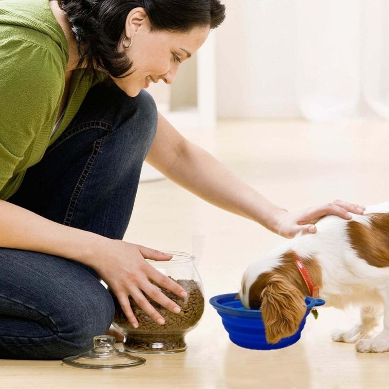 Individual Packing Pet Travel Water Drinking Silicone Dog Bowls