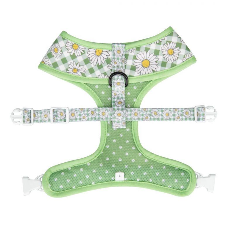 New Style and Pattern Pet Dog Bowtie Padded Matching Harness, Collar, Leash