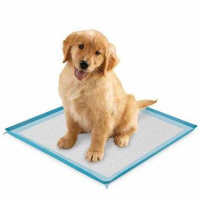 Disposable Pet Training Pad Absorbent Underpad Dog Potty PEE Pads