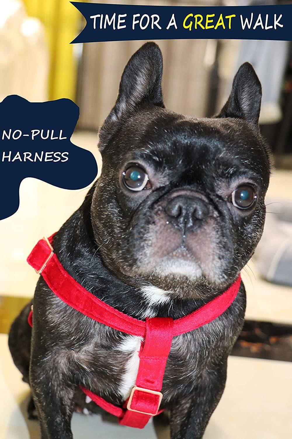 Velvet Dog Harness with Multiple Color Options