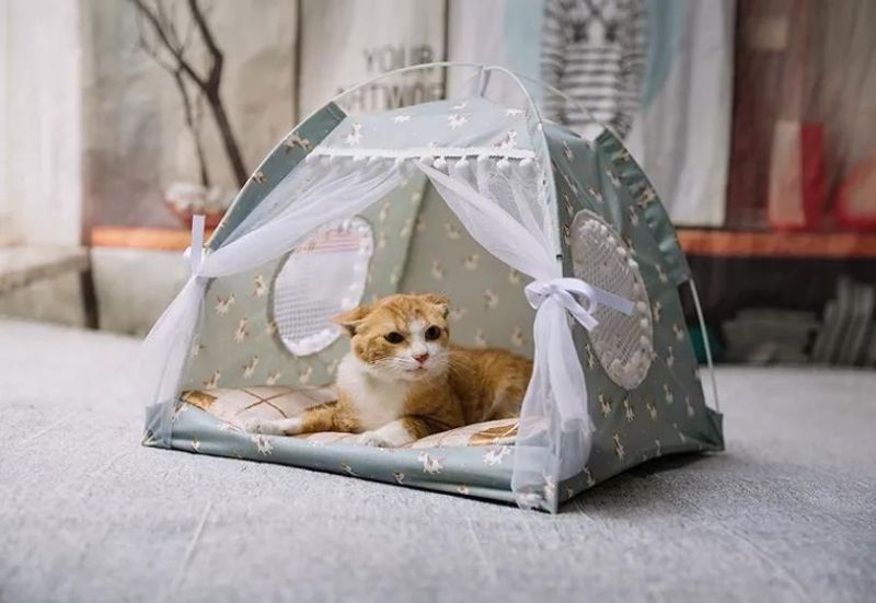 Summer Dog Tent Bed The New Indoor Cheap Price Cat Tent Semi-Closed Foldable Cat Tent