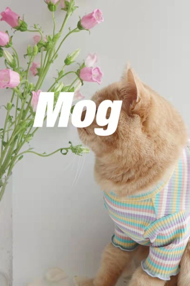 Dog Cloth 2022 Summer Puppy Dog Shirts Wholesale Plain Pet Summer Clothes Dog Cat Tank Top T Shirt