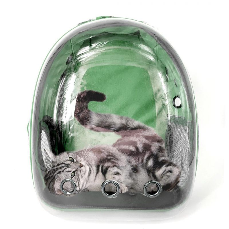 Airline Approved Hard-Sided Pet Bag Cat Dog Bubble Backpack Waterproof Breathable Pet Carrier