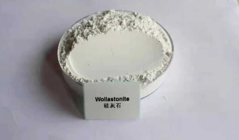 Cat Litter Suppliers Wholesale Cats Litter for Select Tofu Cat Litter