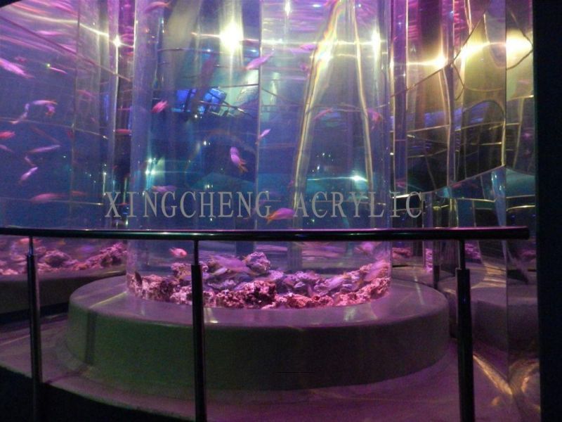 Large Fish Aquarium Fish Tank Project