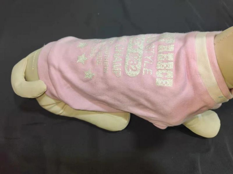 Dog Style Dogs Champ Dog Clothes Dog Clothing Fashion Designer Dog Clothing