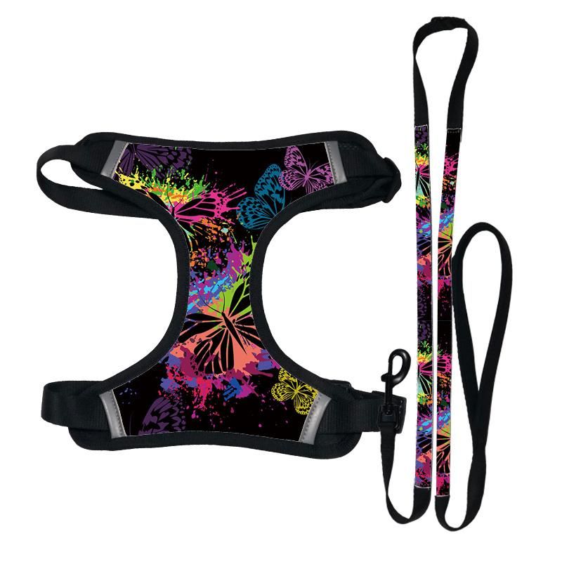 Hot Selling Cute Reversible Dog Harness Walking Halter New Custom Logo Printed Sport Dog Harness Set with Pet Collar Leash/Pet Accessories/Pet Supply/Pet Produc