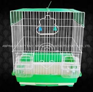 Hebei Collapsible Brazil Gold Walk in Macaw Bird Cage