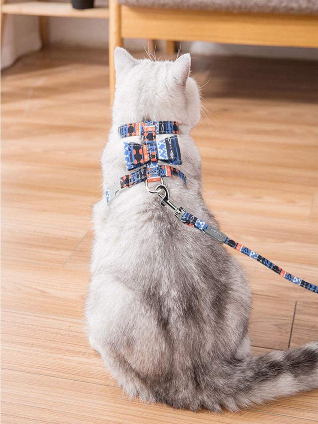 Cute and Beautiful Walking Cat Harness Pet Harness