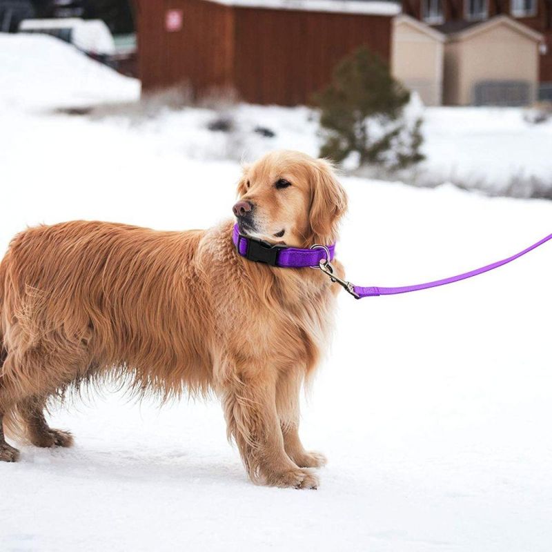 Nylon Dog Collar and Leash Set Soft Handle with Padded