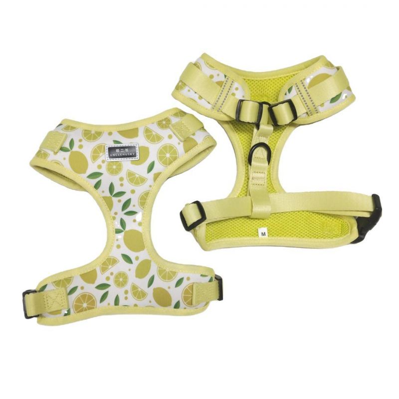 2021all Kinds of Full Sets Breathable Mesh Pet Dog Harness Running Training Pet Products