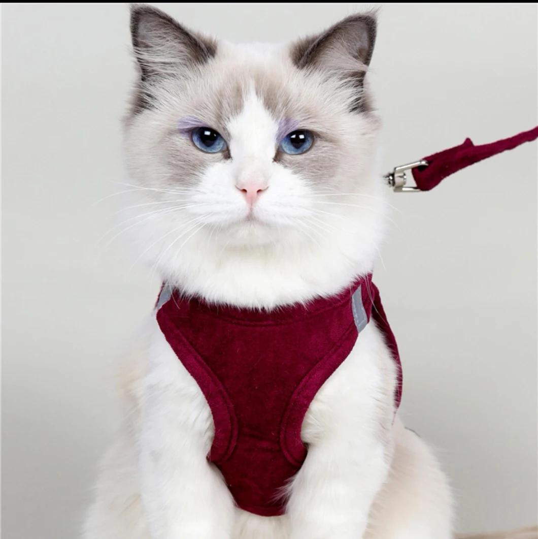 Comfortable Durable Cat Traction Set Liked by Cats