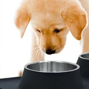 Hight Quality Double Steel Cute Easy Clean No Spilling Puppy Bowls