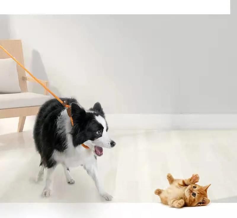 Elastic Nylon Dog Leash for Small and Medium-Sized and Large Dogs