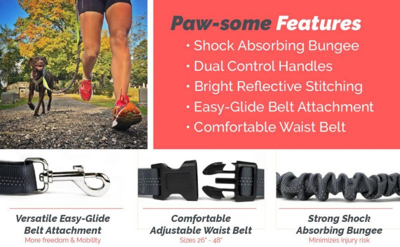 Adjustable Waist Belt Adjustable Waist Belt Dog Leash