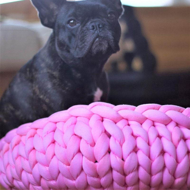 Braided Bed for Cats and Small Dogs