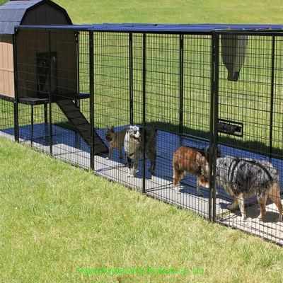 Large Outdoor Dog Run Walk in Pod Access Dog Kennel